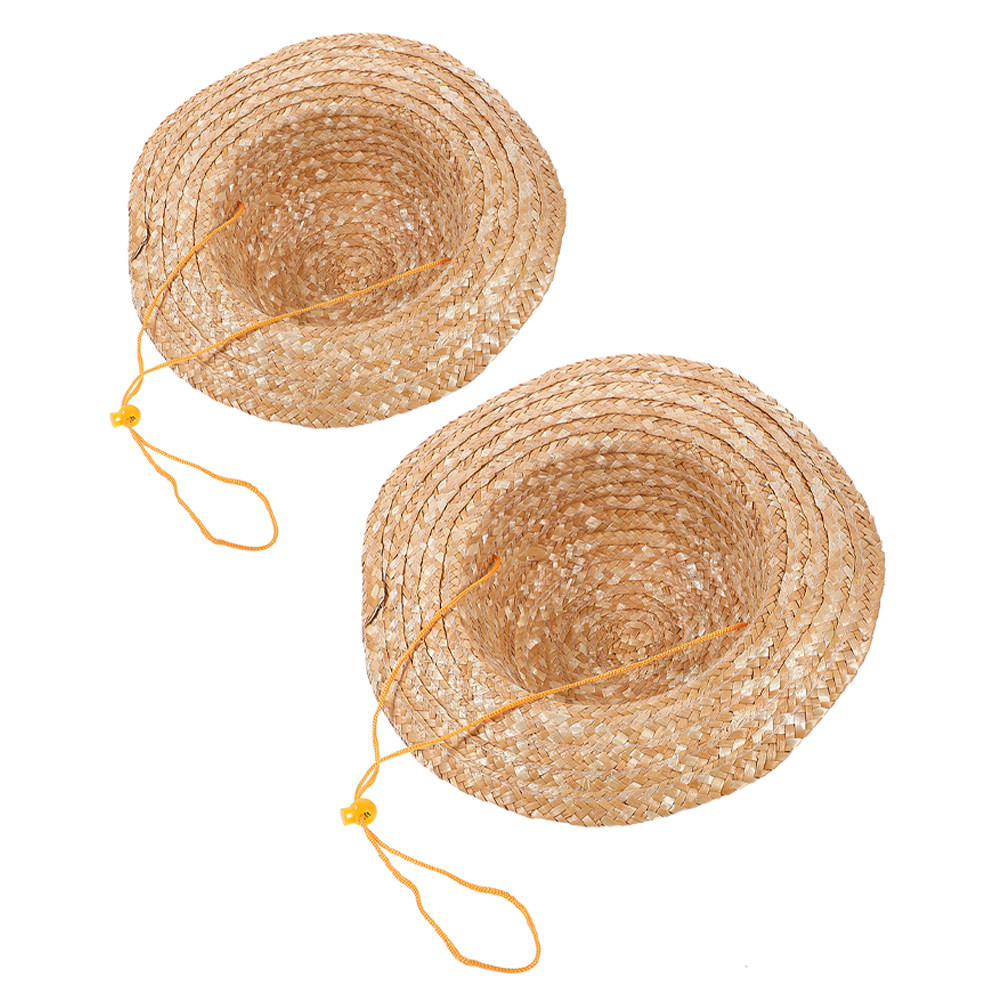 2 Buah Topi Jerami Anak Warna  - Sun Hat Wide Brim ulasan dan harga